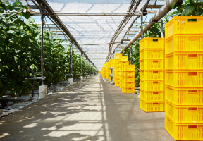 Agro Products